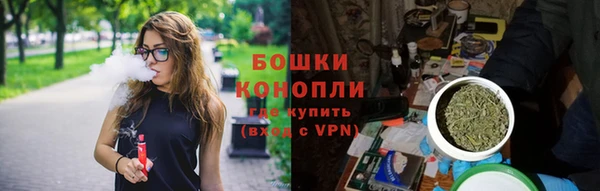 соль ск Белокуриха