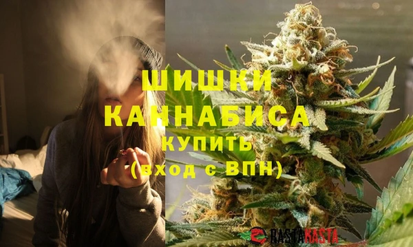 соль ск Белокуриха