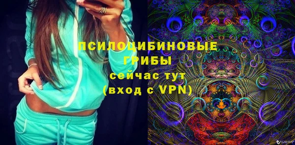 соль ск Белокуриха