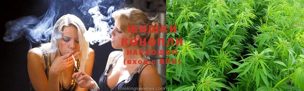 соль ск Белокуриха